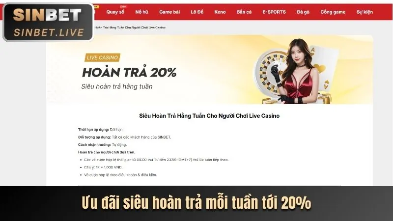 Hoàn trả hàng ngày/tuần JN88